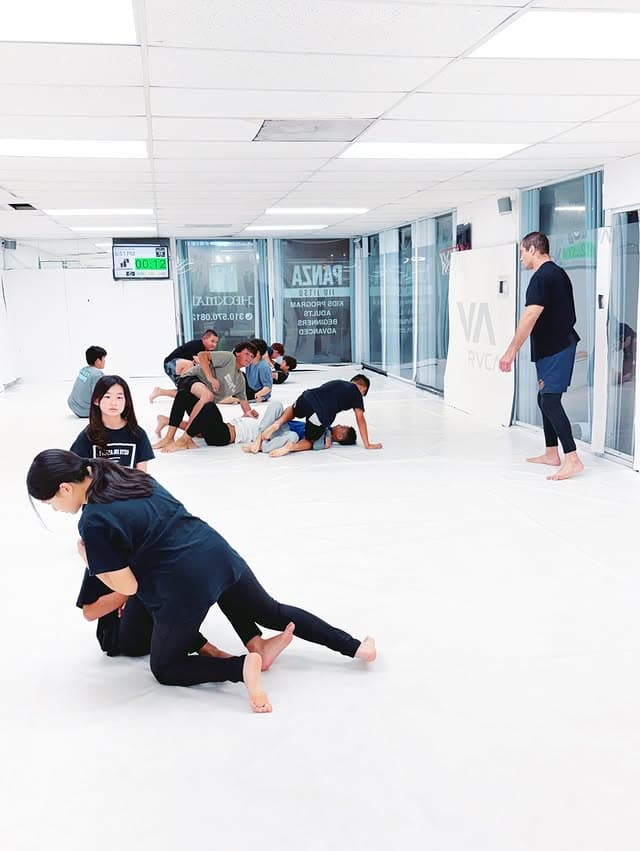 No-gi grappling class in action at Panza Jiu-Jitsu in Torrance