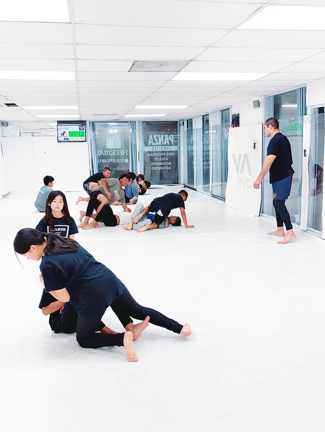 Hidden BJJ Secrets By Luiz Panza　柔術　BJJ Hidden BJJ Secrets By Luiz Panza 柔術 BJJ Hidden Hidden BJJ
